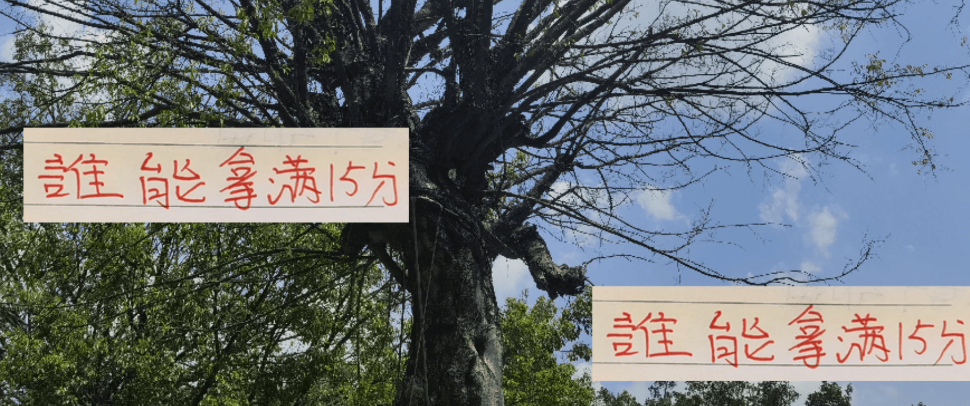 image, 熟悉了