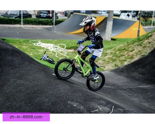 BMX投注技巧大揭秘，轻松掌握赛事投注窍门