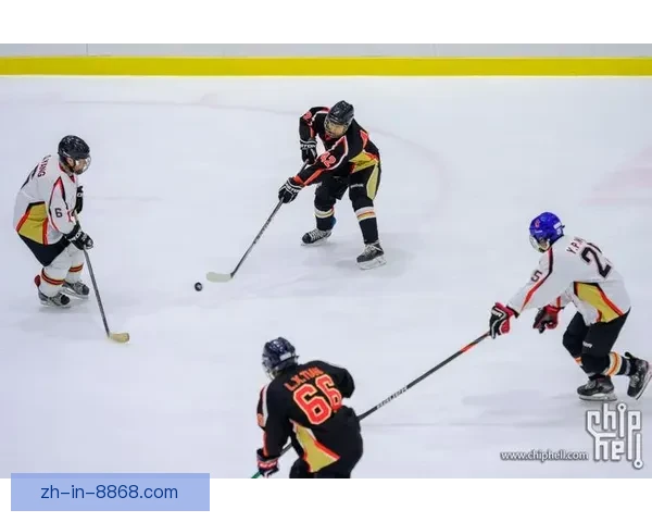 冰球比赛：速度与激情的碰撞
