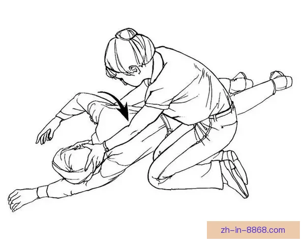 学拳击，从入门到精通，全方位教学视频分享