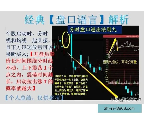 射箭盘口分析大揭秘 射箭盘口分析大揭秘
