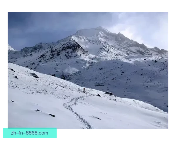 征战巅峰:挑战极限,征服高山 征战巅峰:挑战极限,征服高山