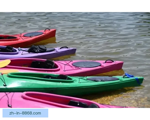 探险皮划艇：极致冒险直播探秘