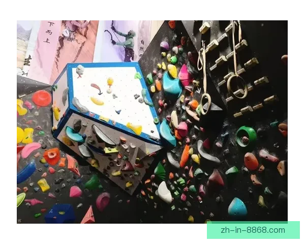 攀岩新手必备技巧与注意事项