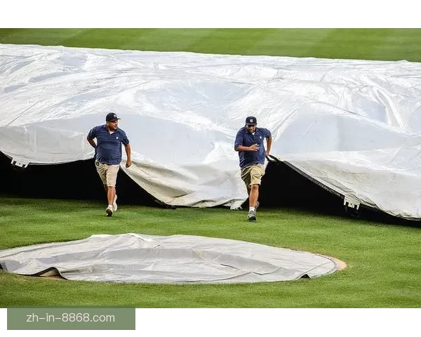 棒球赛事预测技巧大揭秘：助您轻松获胜