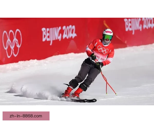 滑雪排名解析:全面评价各项要素 滑雪排名解析:全面评价各项要素