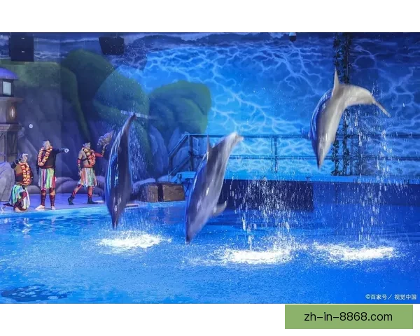 激情澎湃的海上表演：冲浪高手争锋对决