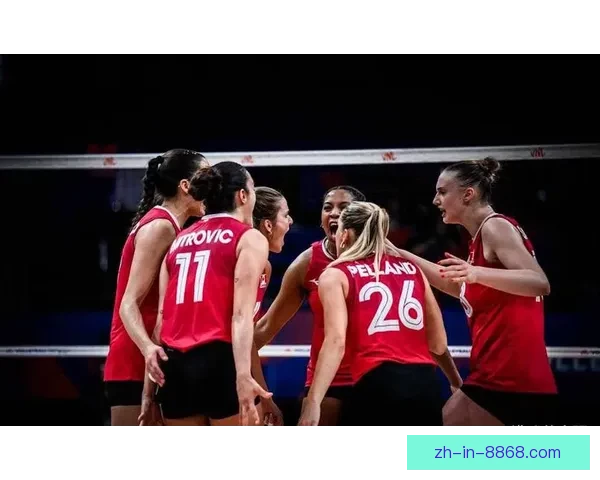 激烈角逐！排球赛事全面解读